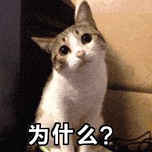 DƬ